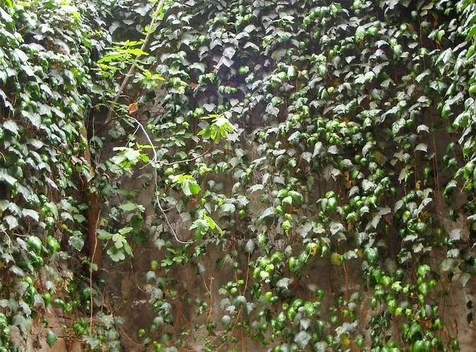 Carme 2 3* 伊斯坦布尔